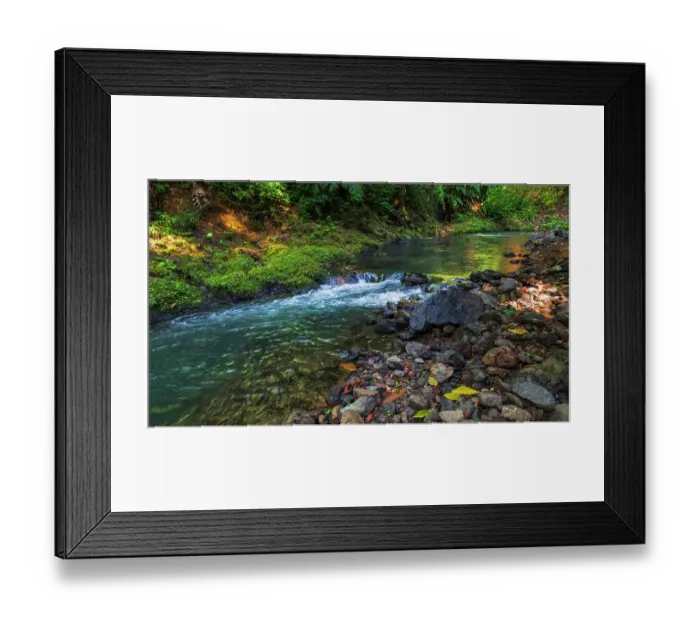 Framed Print : Forest stream in Corcovado National Park, Puntarenas Province, Costa Rica Framed Print : Forest stream in Corcovado National Park, Puntarenas Province, Costa Rica
