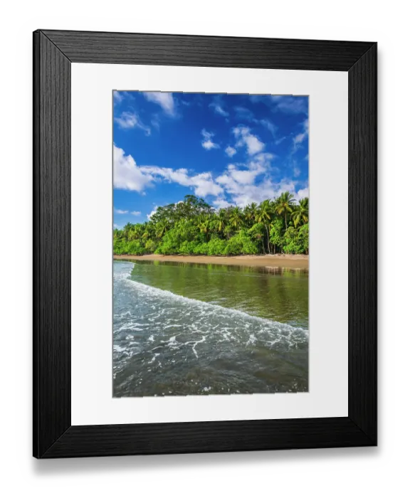 Framed Print : Surf and coconut palms at Playa Matapalo, Puntarenas Province, Costa Rica