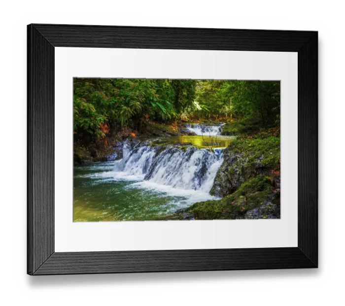 Framed Print : Forest stream in Corcovado National Park, Puntarenas Province, Costa Rica