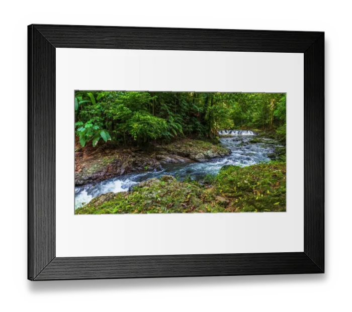 Framed Print : Forest stream in Corcovado National Park, Puntarenas Province, Costa Rica