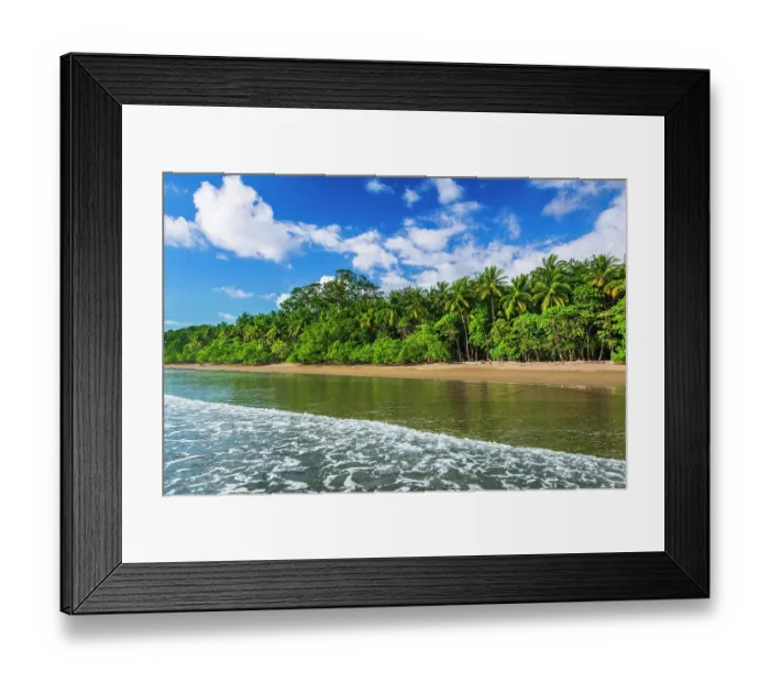 Framed Print : Surf and coconut palms at Playa Matapalo, Puntarenas Province, Costa Rica Framed Print : Surf and coconut palms at Playa Matapalo, Puntarenas Province, Costa Rica