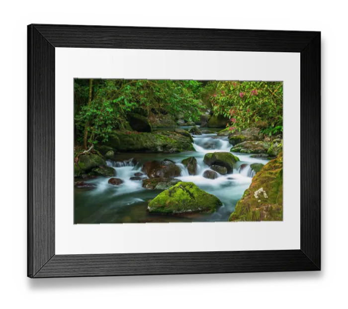 Framed Print : Savegre River in San Gerardo de Dota, San Jose Province, Costa Rica