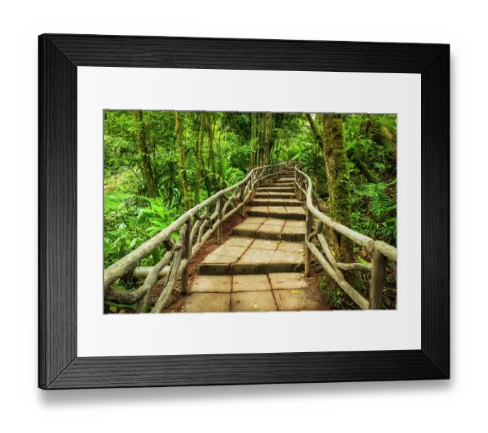 Framed Print : Forest trail at La Paz Waterfall Gardens, Alajuela Province, Costa Rica. (Editorial Use Only)