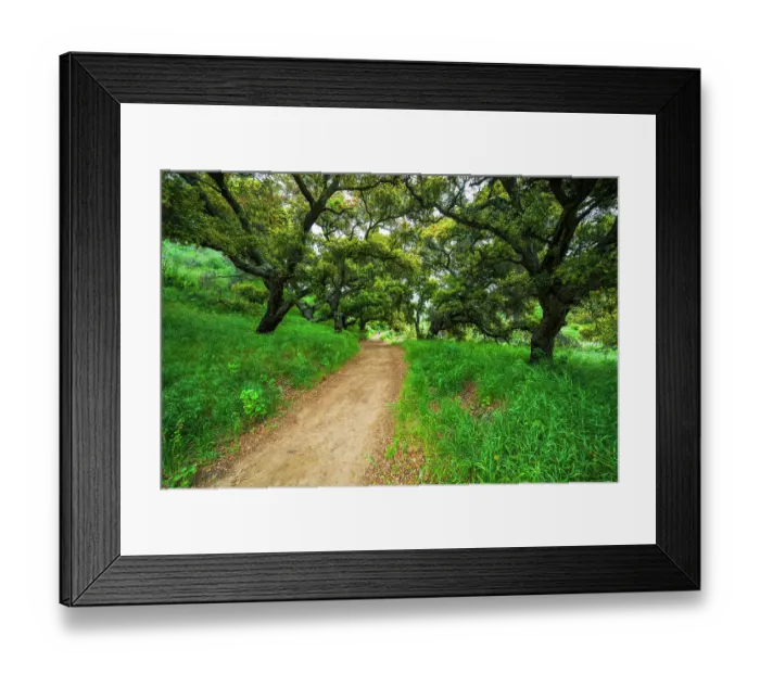 Framed Print : Woman hiking through coast live oaks in Harmon Canyon Preserve, Ventura, California, USA. (MR) Framed Print : Woman hiking through coast live oaks in Harmon Canyon Preserve, Ventura, California, USA. (MR)