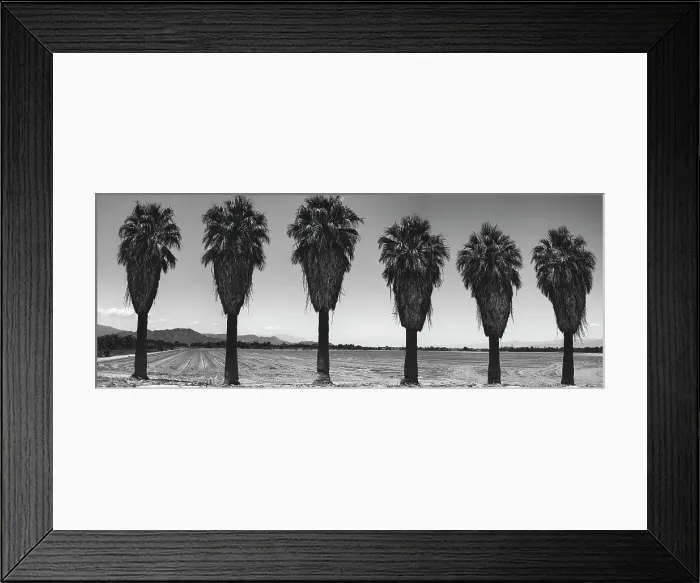 Framed Print : Old Estate, Date Palms, Coachella Valley, California, USA Framed Print : Old Estate, Date Palms, Coachella Valley, California, USA