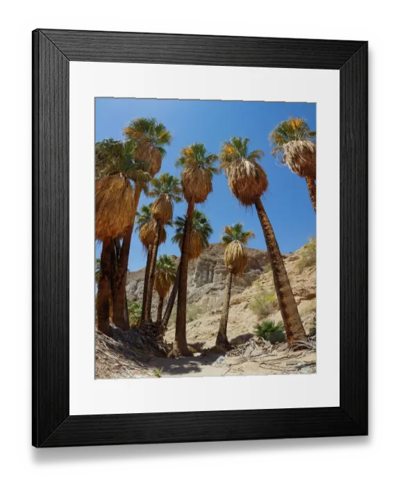 Framed Print : Mecca Badlands, California