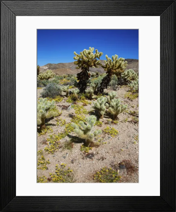 Framed Print : Springtime in Fargo Canyon, California Framed Print : Springtime in Fargo Canyon, California