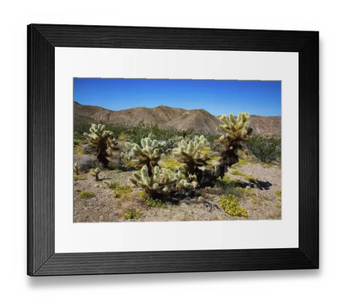 Framed Print : Springtime in Fargo Canyon, California Framed Print : Springtime in Fargo Canyon, California