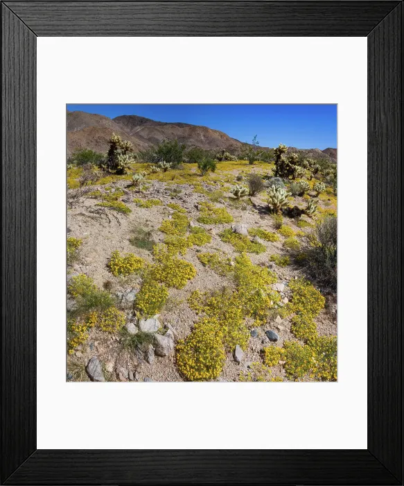 Framed Print : Springtime in Fargo Canyon, California Framed Print : Springtime in Fargo Canyon, California