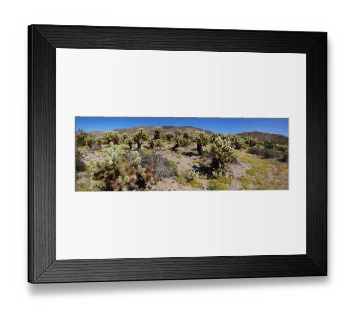 Framed Print : Springtime in Fargo Canyon, California Framed Print : Springtime in Fargo Canyon, California