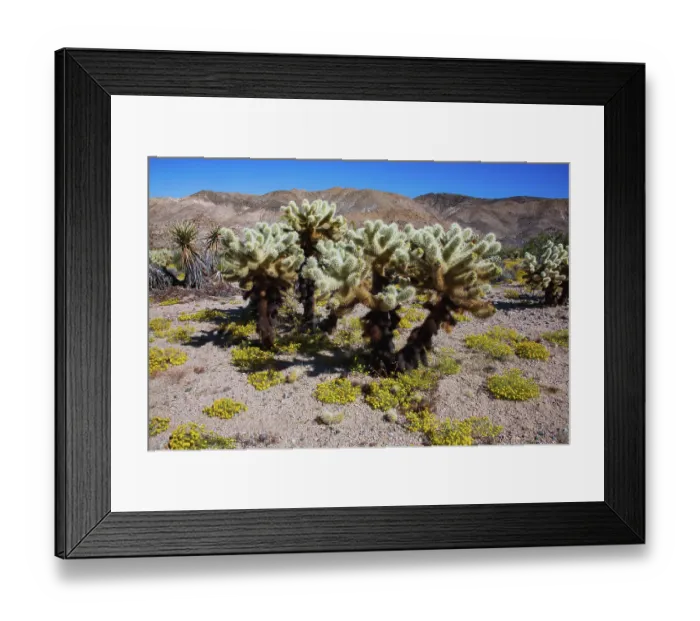 Framed Print : Springtime in Fargo Canyon, California