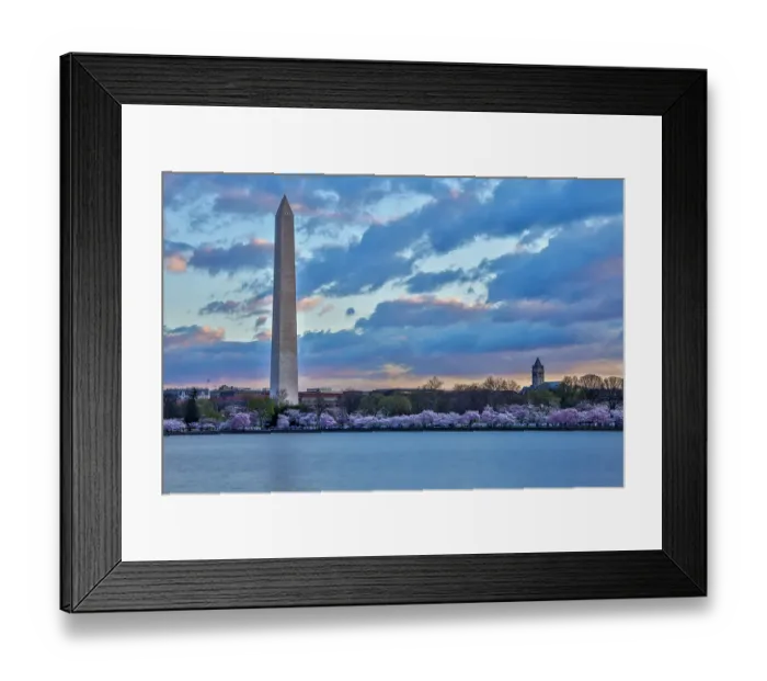 Framed Print : USA, District of Columbia. Washington Monument at Cherry Blossom Time Framed Print : USA, District of Columbia. Washington Monument at Cherry Blossom Time