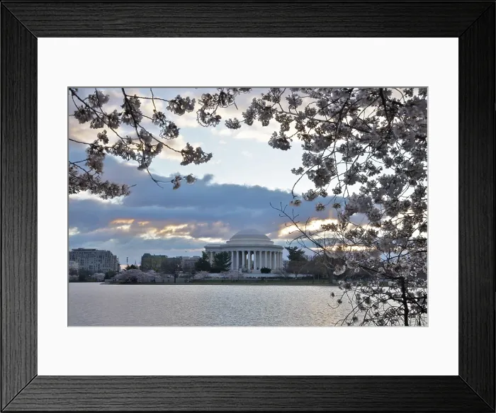 Framed Print : USA, District of Columbia. Jefferson Memorial at Cherry Blossom Time