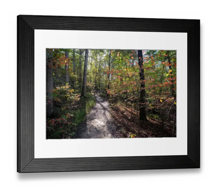 Framed Print : Hiking trail in the Giant City State Park part of the Shawnee National Forest in southern Illinois Framed Print : Hiking trail in the Giant City State Park part of the Shawnee National Forest in southern Illinois
