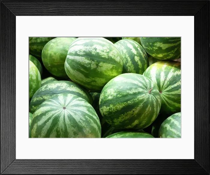 Framed Print : Fresh watermelon in Shipshewana farmers market in Amish country Indiana Framed Print : Fresh watermelon in Shipshewana farmers market in Amish country Indiana