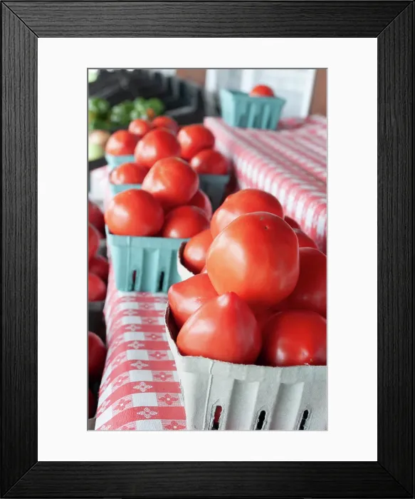 Framed Print : Fresh tomatoes in Shipshewana farmers market in Amish country Indiana Framed Print : Fresh tomatoes in Shipshewana farmers market in Amish country Indiana