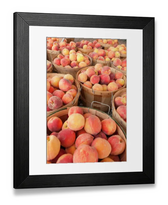 Framed Print : Fresh peaches in Shipshewana farmers market in Amish country Indiana Framed Print : Fresh peaches in Shipshewana farmers market in Amish country Indiana
