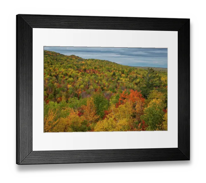 Framed Print : USA, Maine. Colorful fall foliage, Baxter State Park Framed Print : USA, Maine. Colorful fall foliage, Baxter State Park
