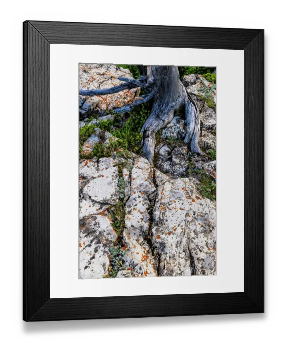Framed Print : Rock art in Glacier National Park, Montana, USA. (Editorial Use Only) Framed Print : Rock art in Glacier National Park, Montana, USA. (Editorial Use Only)