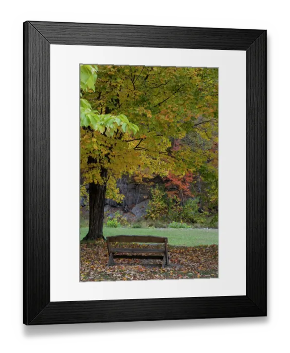 Framed Print : USA, New York. Park bench in Taughannock Falls State Park Framed Print : USA, New York. Park bench in Taughannock Falls State Park