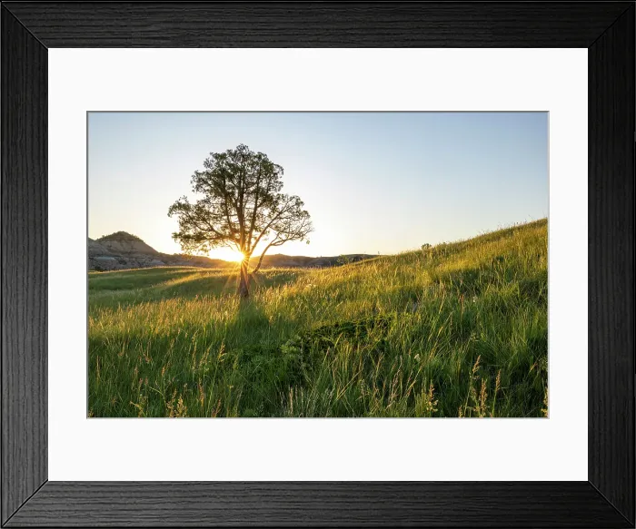 Framed Print : Sunrise in the Jones Creek area in Theodore Roosevelt National Park, North Dakota, USA. (Editorial Use Only)