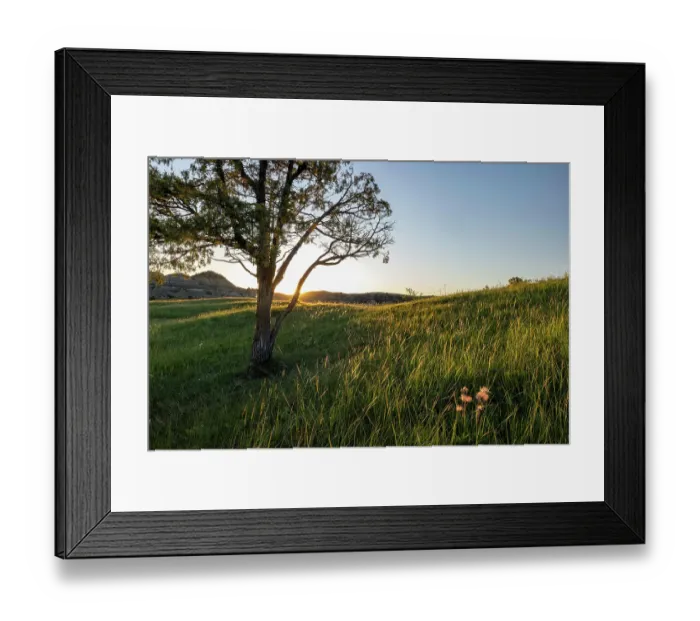 Framed Print : Sunrise in the Jones Creek area in Theodore Roosevelt National Park, North Dakota, USA. (Editorial Use Only) Framed Print : Sunrise in the Jones Creek area in Theodore Roosevelt National Park, North Dakota, USA. (Editorial Use Only)