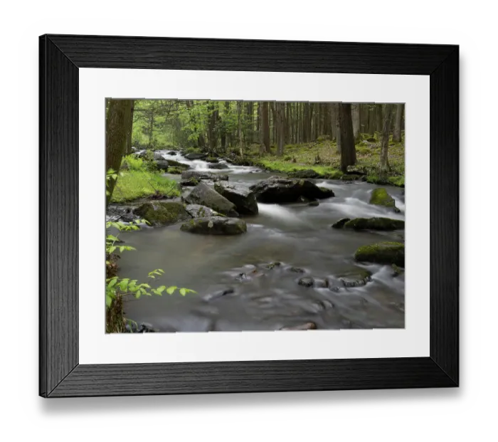 Framed Print : Mountain stream, Central Pennsylvania, USA