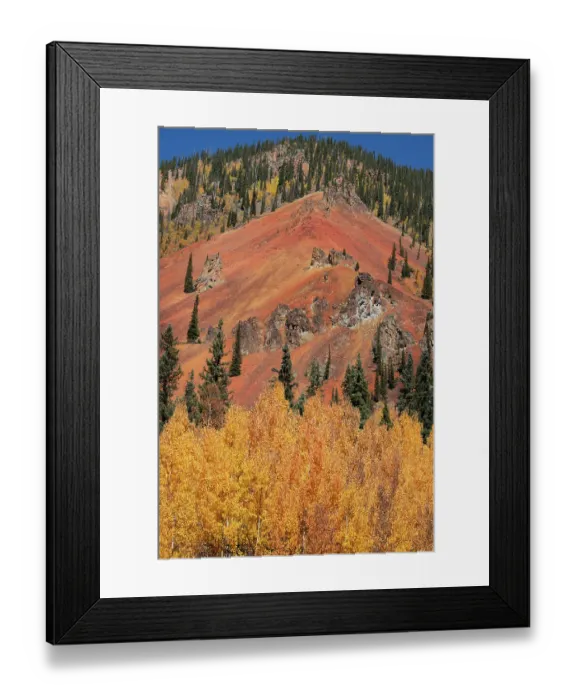 Framed Print : USA, Colorado, San Juan Mountains. Mountain ridge and autumn trees. ©Don Grall / Jaynes Gallery / DanitaDelimont.com Framed Print : USA, Colorado, San Juan Mountains. Mountain ridge and autumn trees. ©Don Grall / Jaynes Gallery / DanitaDelimont.com
