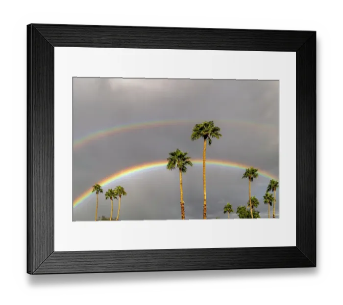 Framed Print : Rainbows over palm trees in Palm Springs, California, USA Framed Print : Rainbows over palm trees in Palm Springs, California, USA