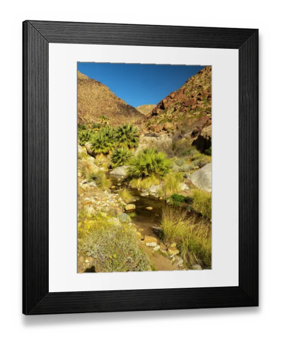 Framed Print : USA, California, Anza Borrego Desert State Park. Palm trees and creek. ©Cathy & Gordon Illg  /  Jaynes Gallery  /  DanitaDelimont.com
