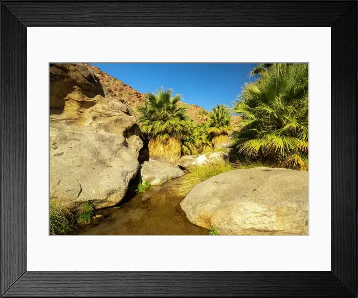 Framed Print : USA, California, Anza Borrego Desert State Park. Palm Oasis in desert. ©Cathy & Gordon Illg / Jaynes Gallery / DanitaDelimont.com Framed Print : USA, California, Anza Borrego Desert State Park. Palm Oasis in desert. ©Cathy & Gordon Illg / Jaynes Gallery / DanitaDelimont.com