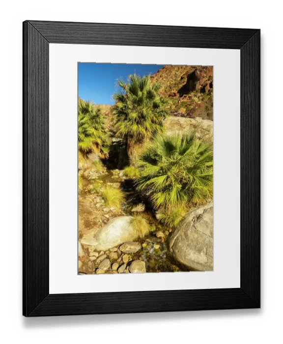 Framed Print : USA, California, Anza Borrego Desert State Park. Palm Oasis in desert. ©Cathy & Gordon Illg / Jaynes Gallery / DanitaDelimont.com Framed Print : USA, California, Anza Borrego Desert State Park. Palm Oasis in desert. ©Cathy & Gordon Illg / Jaynes Gallery / DanitaDelimont.com