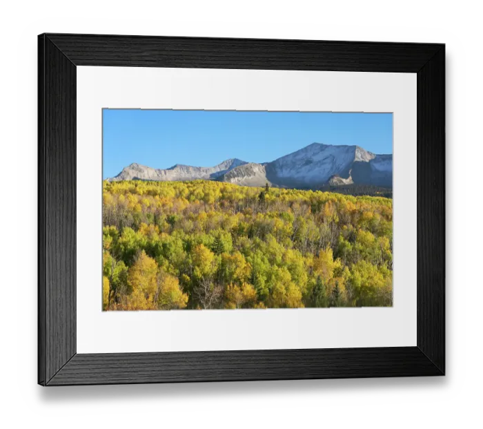 Framed Print : USA, Colorado, Gunnison National Forest. Mountain and aspen forest in autumn. ©Don Grall / Jaynes Gallery / DanitaDelimont.com Framed Print : USA, Colorado, Gunnison National Forest. Mountain and aspen forest in autumn. ©Don Grall / Jaynes Gallery / DanitaDelimont.com