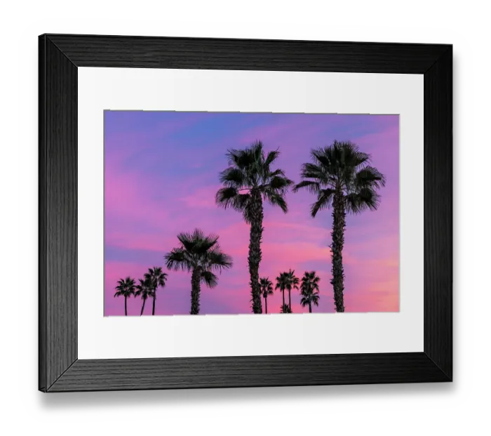 Framed Print : Palm trees silhouetted by brilliant sunset clouds in Palm Springs, California, USA Framed Print : Palm trees silhouetted by brilliant sunset clouds in Palm Springs, California, USA