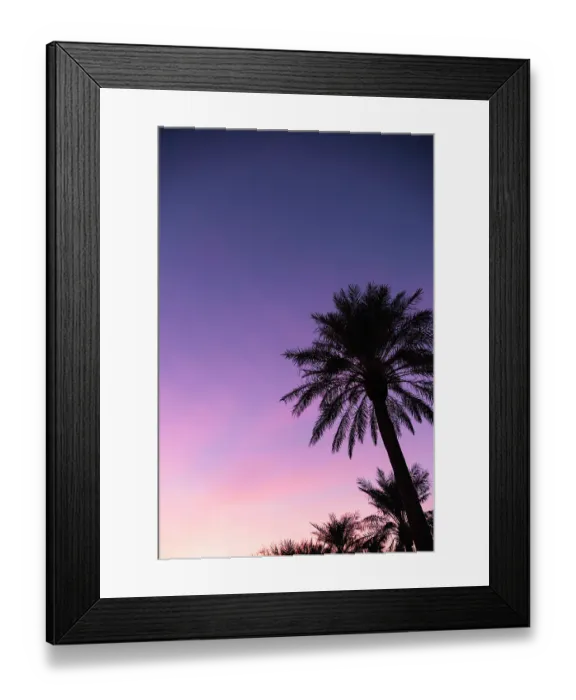 Framed Print : Palm trees, The Oasis of Death Valley, California, USA Framed Print : Palm trees, The Oasis of Death Valley, California, USA