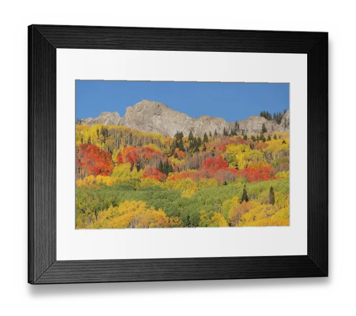 Framed Print : USA, Colorado, Gunnison National Forest. Mountain and forest in autumn. ©Don Grall  /  Jaynes Gallery  /  DanitaDelimont.com