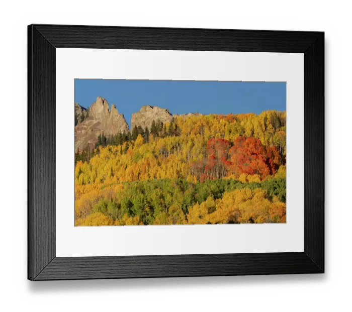Framed Print : USA, Colorado, Gunnison National Forest. Mountain ridge and aspen forest in autumn. DanitaDelimont.com