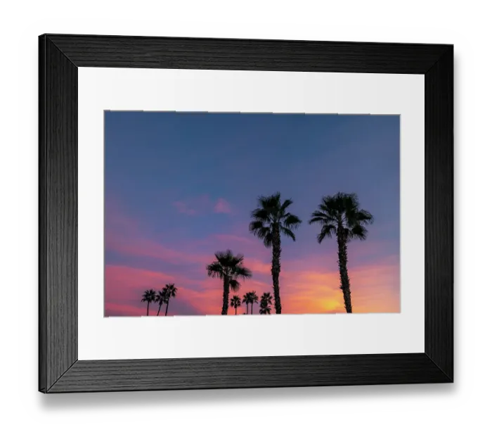 Framed Print : Palm trees silhouetted by brilliant sunset clouds in Palm Springs, California, USA