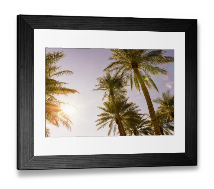 Framed Print : Palm trees, The Oasis of Death Valley, California, USA