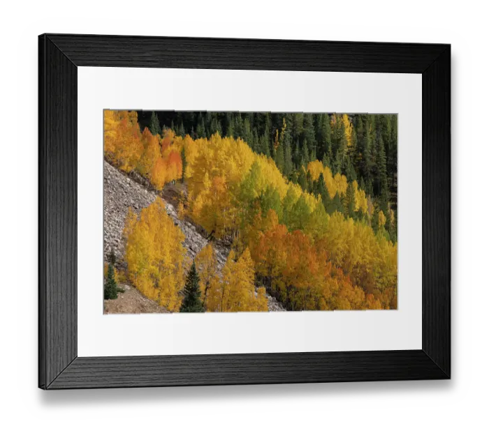 Framed Print : USA, Colorado, San Juan Mountains. Mountain forests in autumn. ©Don Grall / Jaynes Gallery / DanitaDelimont.com Framed Print : USA, Colorado, San Juan Mountains. Mountain forests in autumn. ©Don Grall / Jaynes Gallery / DanitaDelimont.com
