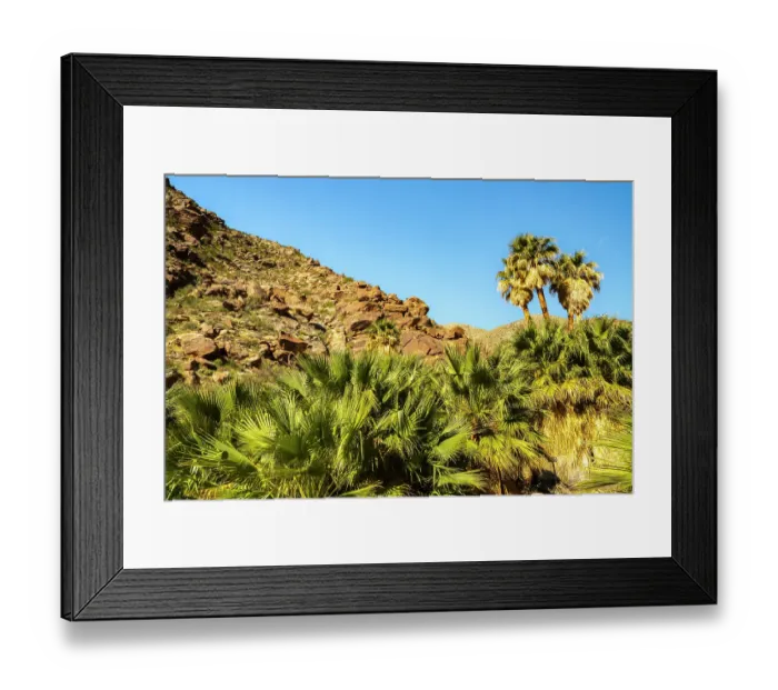 Framed Print : USA, California, Anza Borrego Desert State Park. Palm trees and rocky hillside at oasis. ©Cathy & Gordon Illg / Jaynes Gallery / DanitaDelimont.com Framed Print : USA, California, Anza Borrego Desert State Park. Palm trees and rocky hillside at oasis. ©Cathy & Gordon Illg / Jaynes Gallery / DanitaDelimont.com