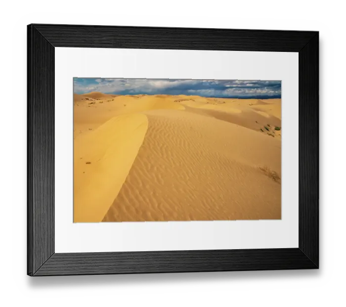 Framed Print : USA, California, Imperial Sand Dunes Recreation Area. Sand dune ripples. ©Cathy & Gordon Illg / Jaynes Gallery / DanitaDelimont.com Framed Print : USA, California, Imperial Sand Dunes Recreation Area. Sand dune ripples. ©Cathy & Gordon Illg / Jaynes Gallery / DanitaDelimont.com