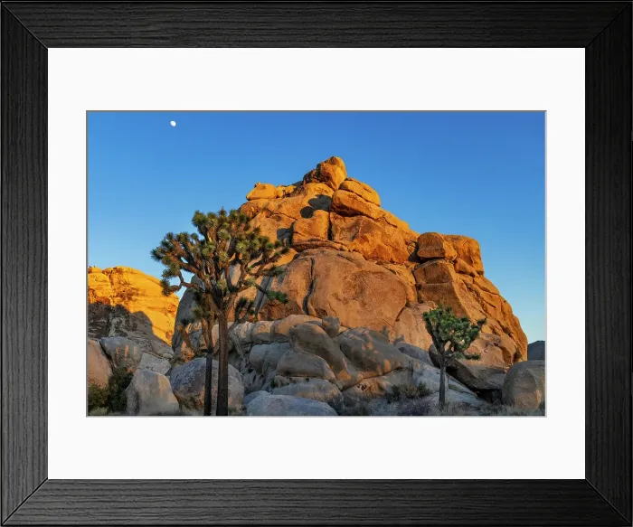 Framed Print : Granite boulders and Joshua trees in Joshua Tree National Park, California, USA