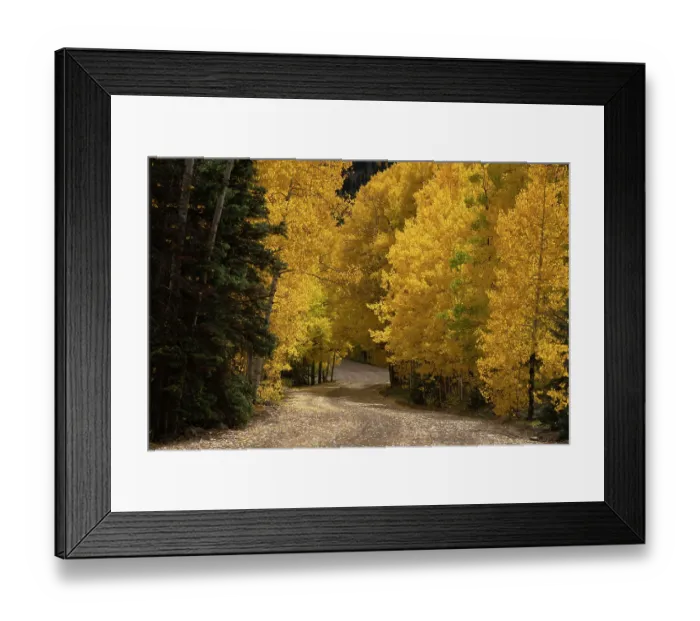 Framed Print : USA, Colorado, San Juan National Forest. Road through forest in autumn. ©Don Grall / Jaynes Gallery / DanitaDelimont.com Framed Print : USA, Colorado, San Juan National Forest. Road through forest in autumn. ©Don Grall / Jaynes Gallery / DanitaDelimont.com