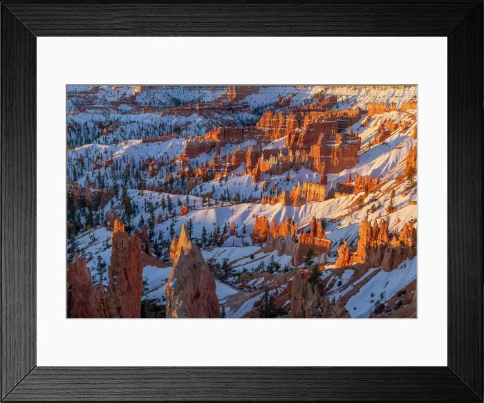 Framed Print : Hoodoos at first light at sunrise Point in Bryce Canyon National Park, Utah, USA. (Editorial Use Only) Framed Print : Hoodoos at first light at sunrise Point in Bryce Canyon National Park, Utah, USA. (Editorial Use Only)