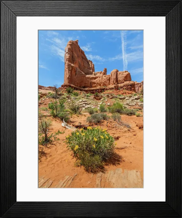 Framed Print : Rough mules ears, Park Avenue, Arches National Park, Utah, US Framed Print : Rough mules ears, Park Avenue, Arches National Park, Utah, US