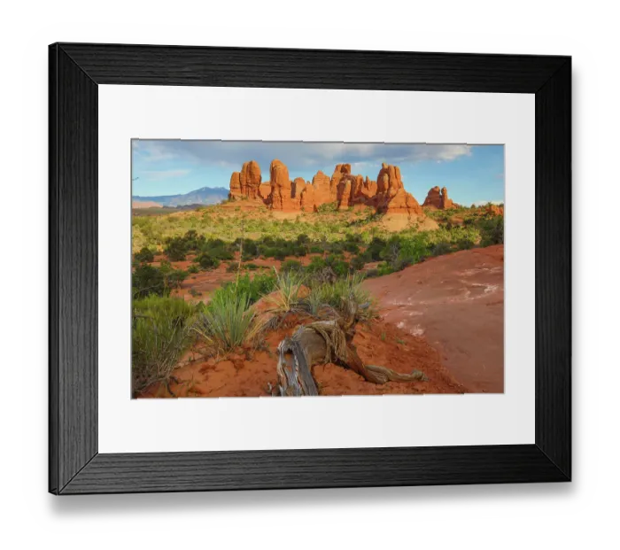 Framed Print : Narrowleaf yucca, The Windows, Arches National Park, Utah, US Framed Print : Narrowleaf yucca, The Windows, Arches National Park, Utah, US