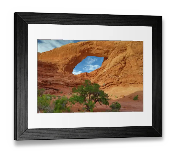 Framed Print : Utah juniper, The Windows Arches National Park, Utah, US