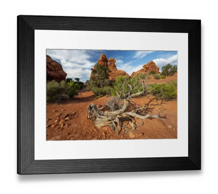Framed Print : The Windows, Arches National Park, Utah, US Framed Print : The Windows, Arches National Park, Utah, US