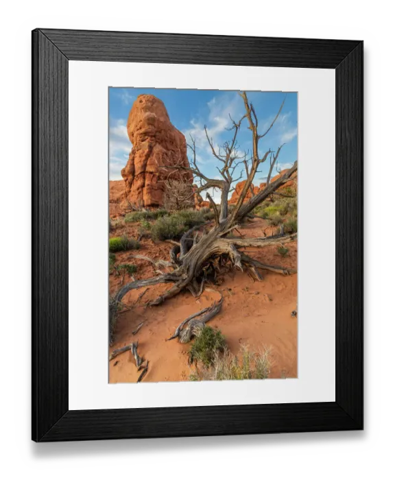 Framed Print : The Windows, Arches National Park, Utah, US Framed Print : The Windows, Arches National Park, Utah, US